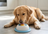 JoonPets Calming Lick Ball — Stop Anxious Paw Licking 1